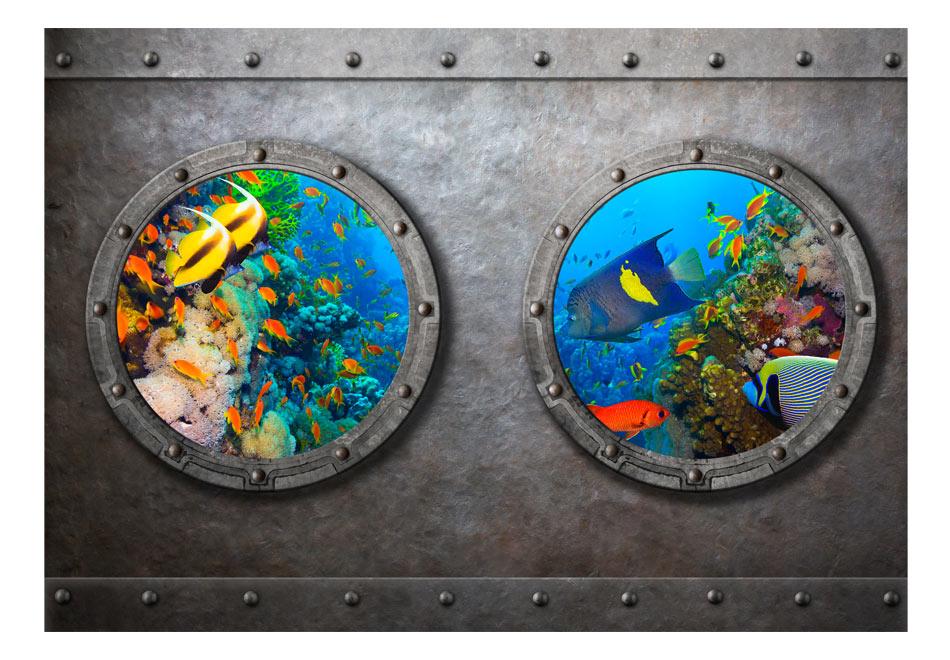 Fototapet - Window to the underwater world