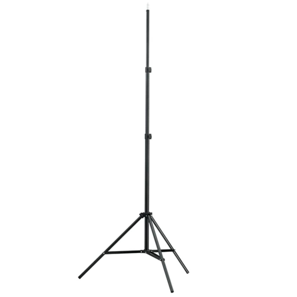 Studiosæt med grøn fotobaggrund og lamper 600 x 300 cm